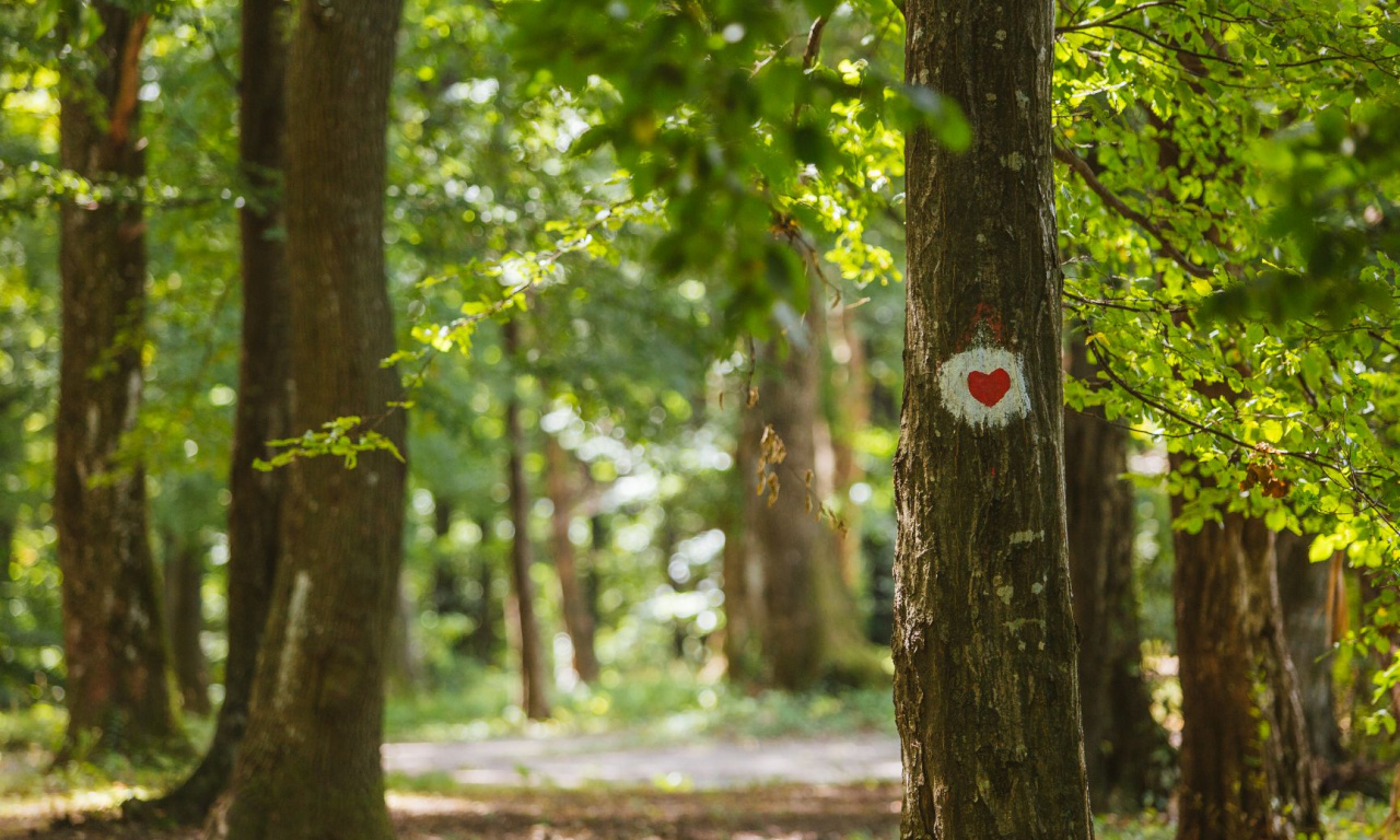 One step closer to health